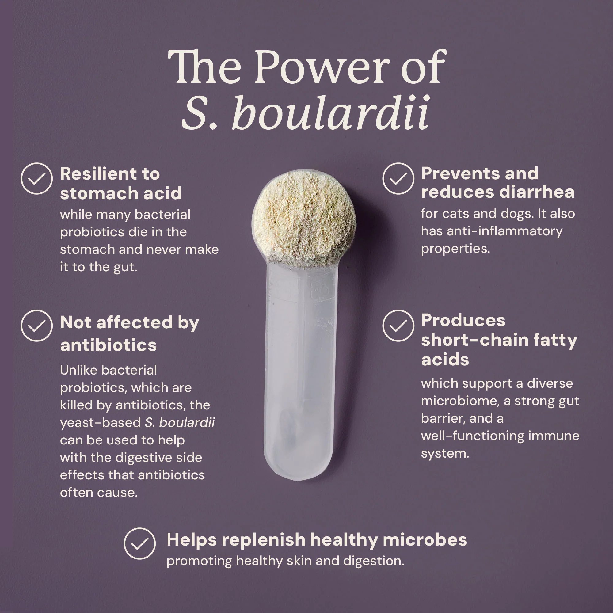 S. boulardii + FOS Powder for Cats and Dogs - Image 8