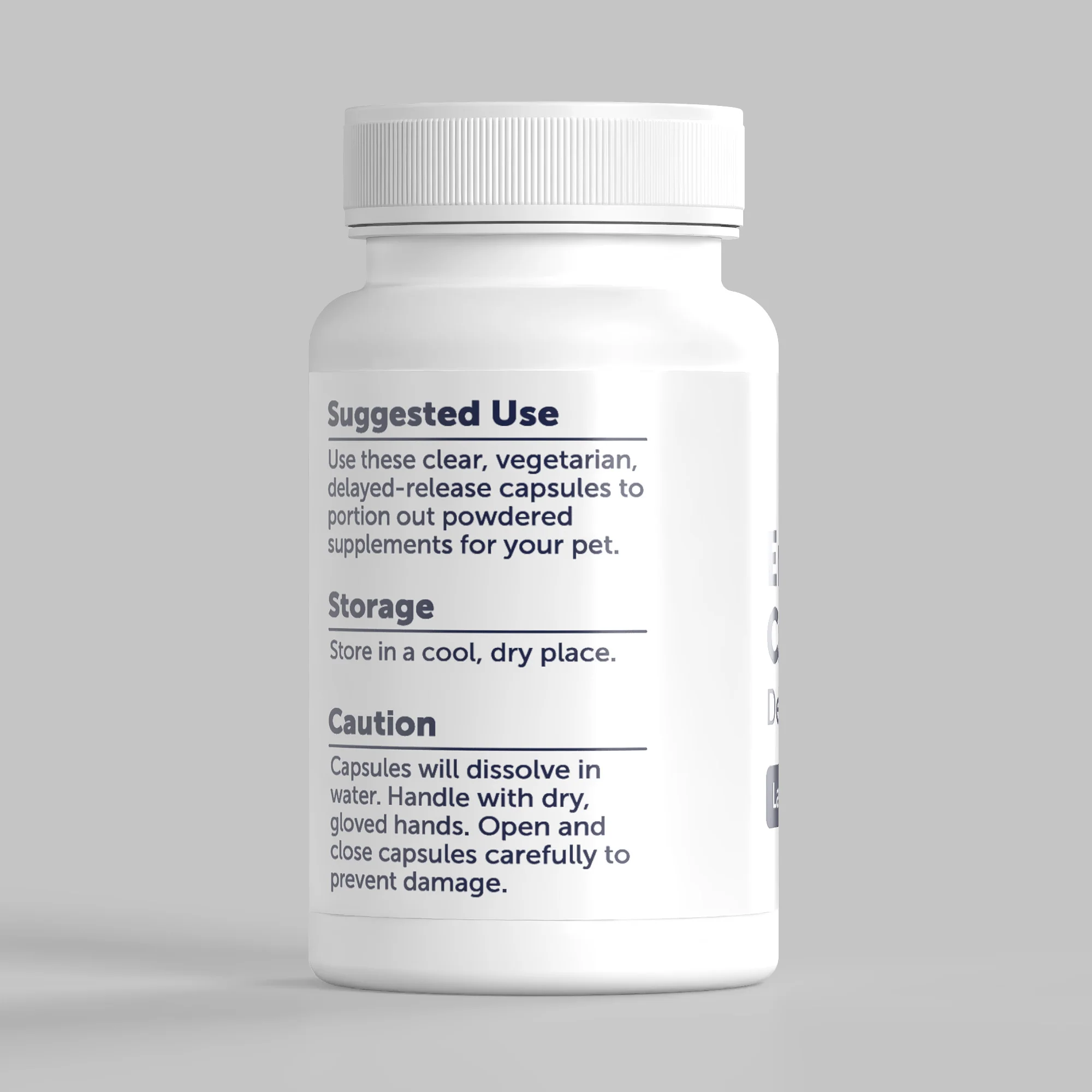 Delayed-Release Empty Capsules - Image 5
