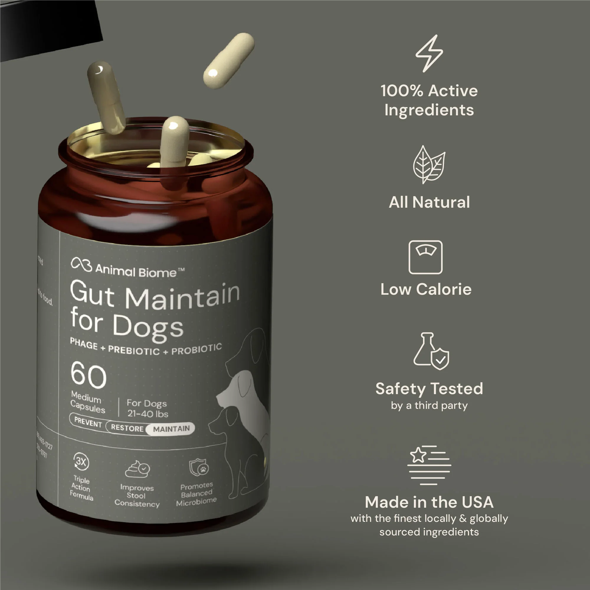 Gut Maintain for Dogs - Image 12