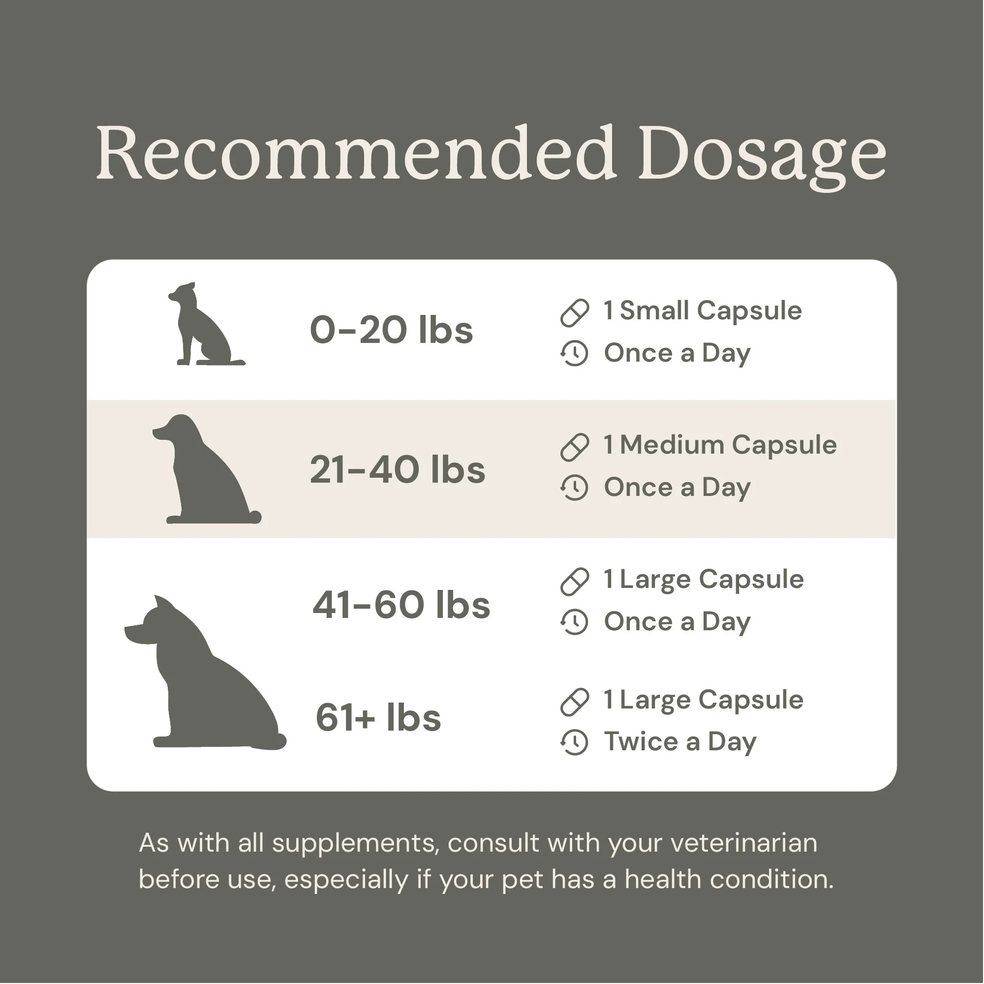 Gut Maintain for Dogs - Image 13