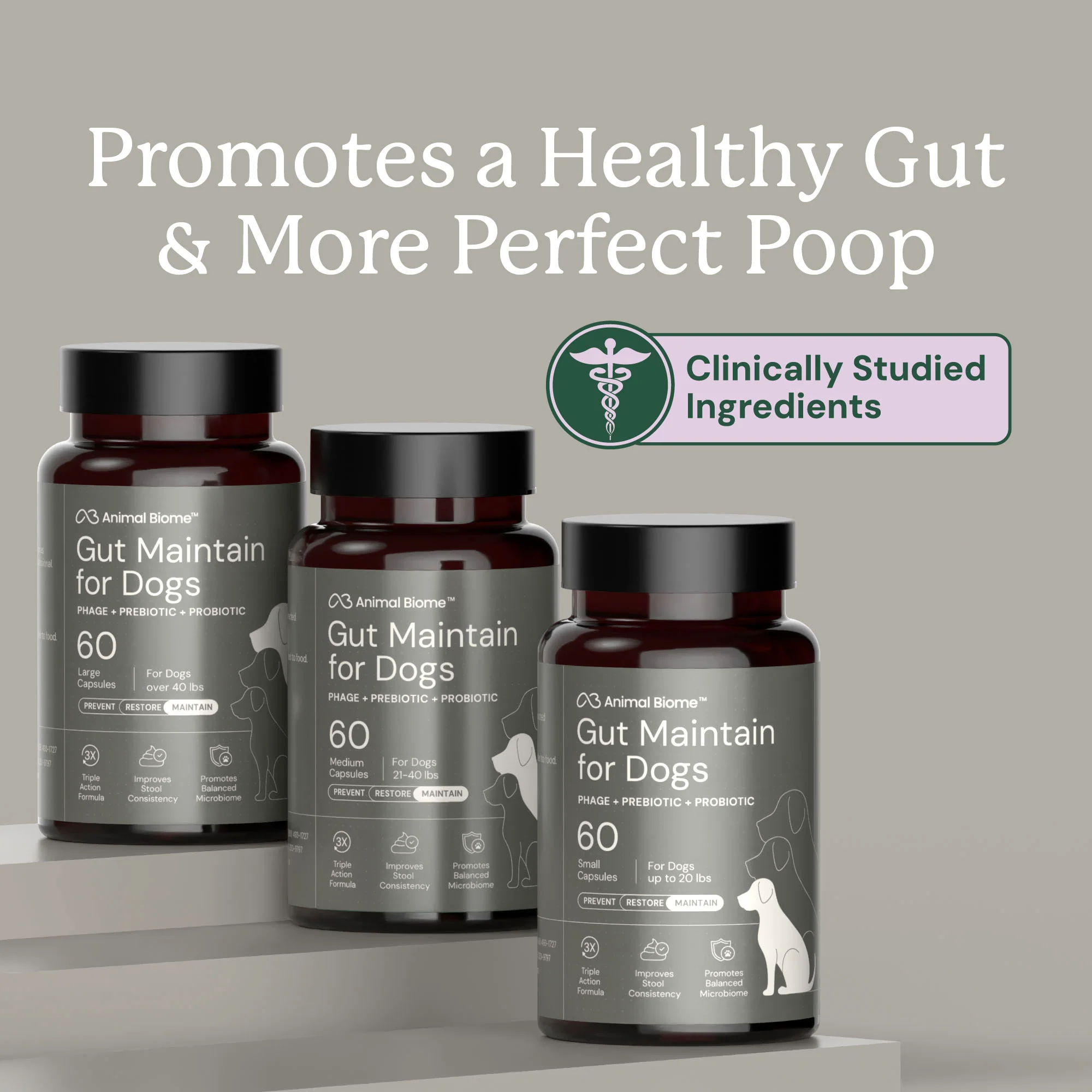 Gut Maintain for Dogs - Image 3