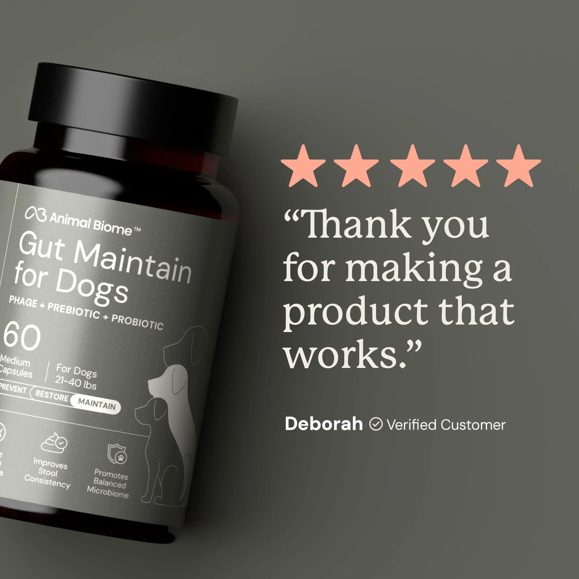 Gut Maintain for Dogs - Image 5