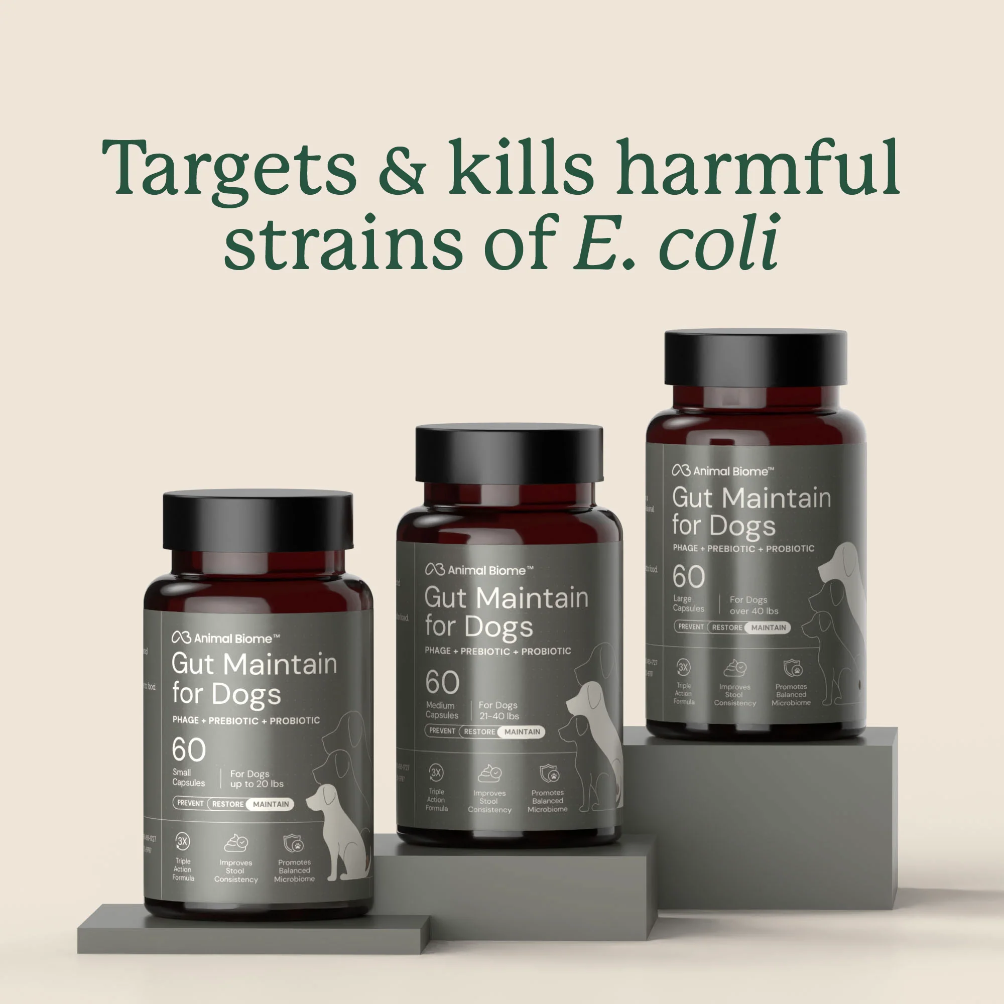 Gut Maintain for Dogs - Image 7