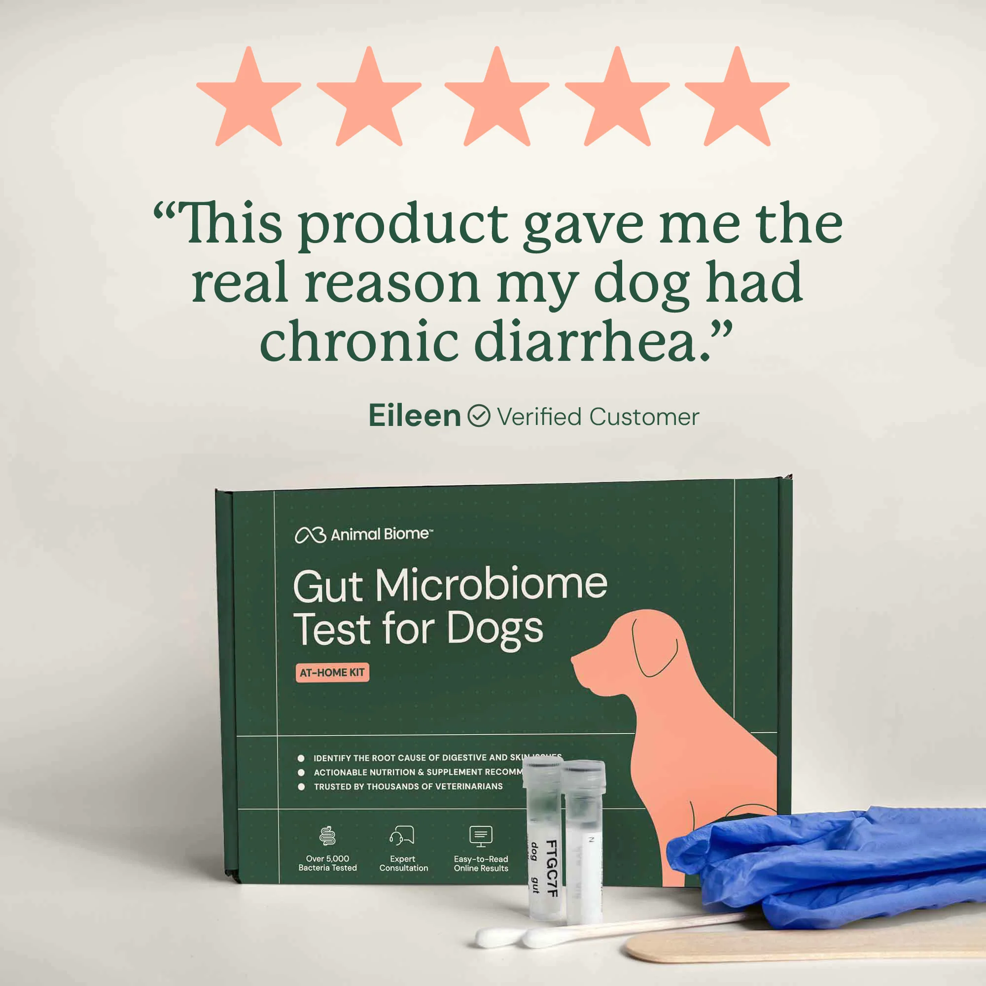 Gut Microbiome Test for Dogs - Image 11