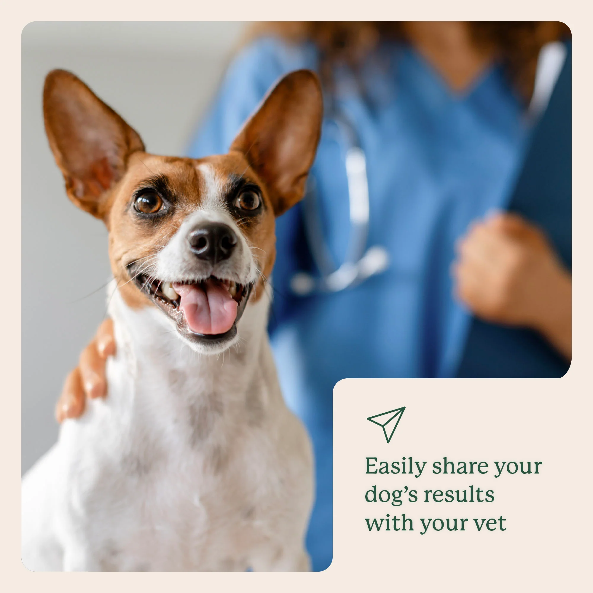 Gut Microbiome Test for Dogs - Image 14