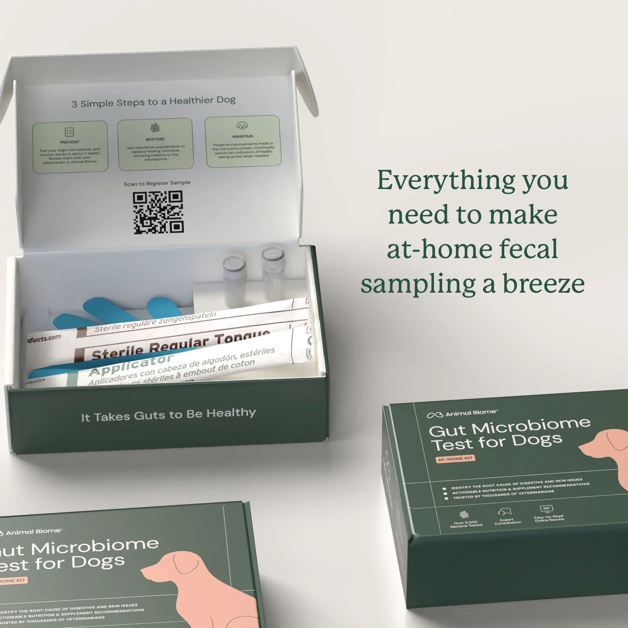 Gut Microbiome Test for Dogs - Image 3
