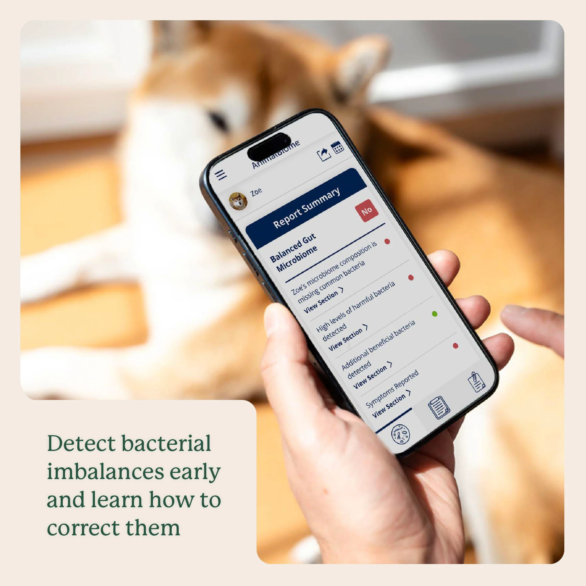 Gut Microbiome Test for Dogs - Image 7