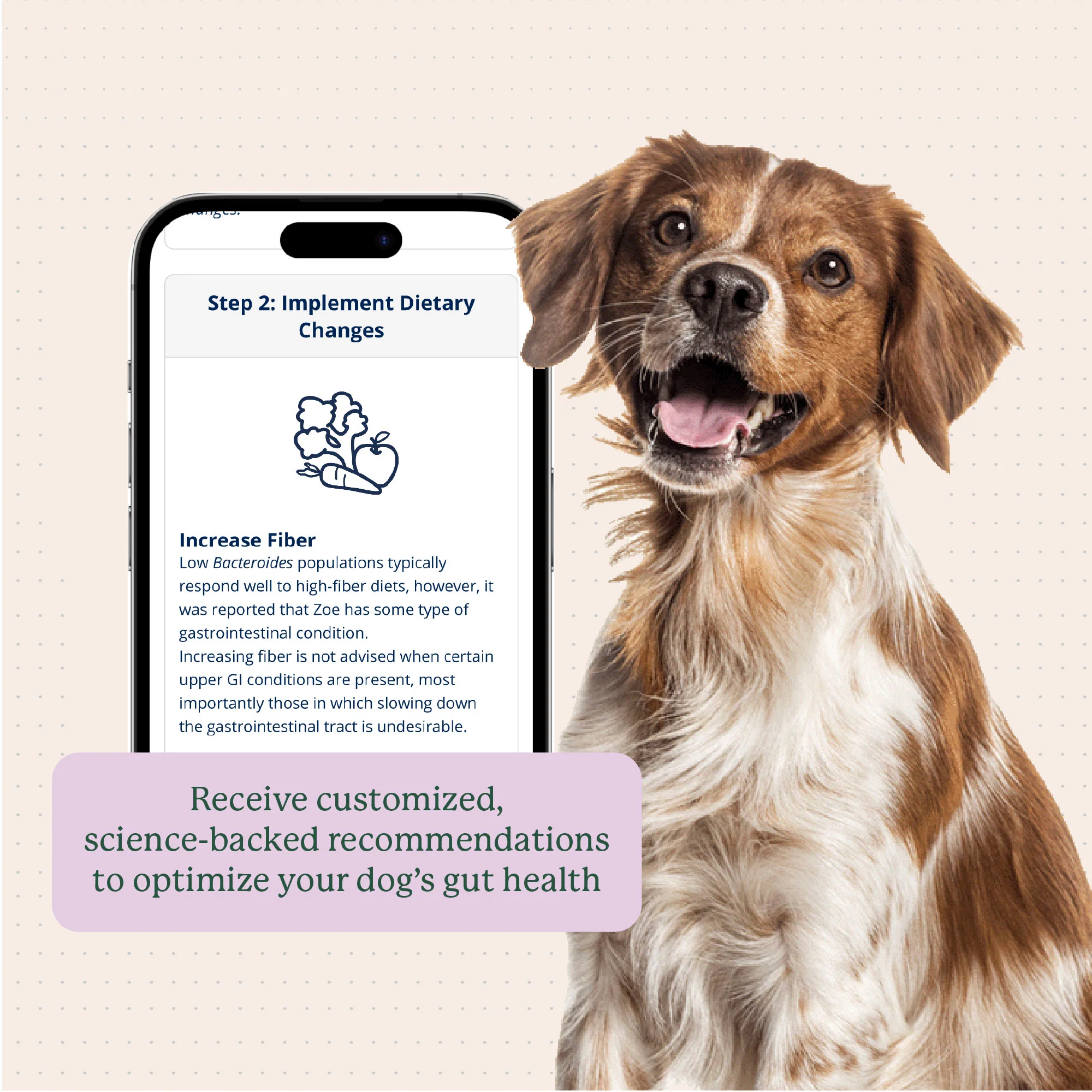 Gut Microbiome Test for Dogs - Image 8