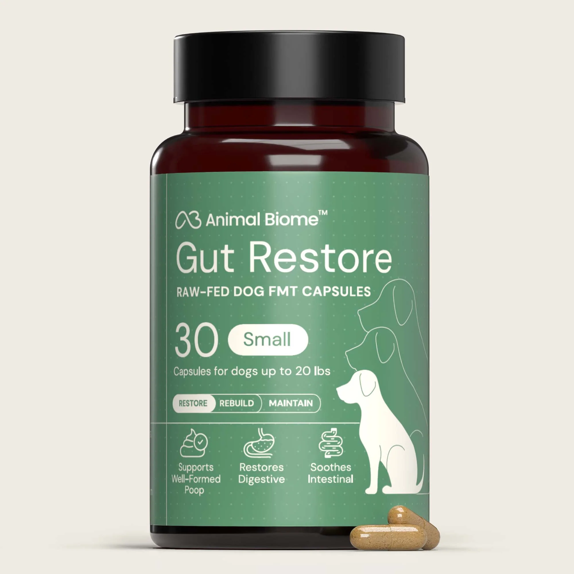 Gut Restore Supplement from Raw-Fed Dogs - Image 10