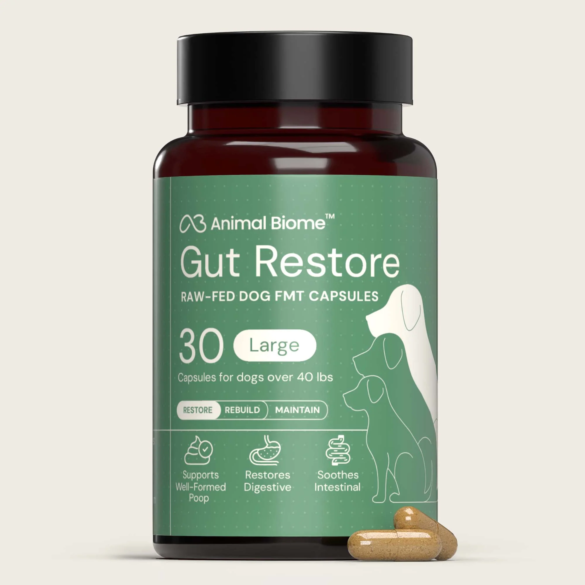 Gut Restore Supplement from Raw-Fed Dogs - Image 11