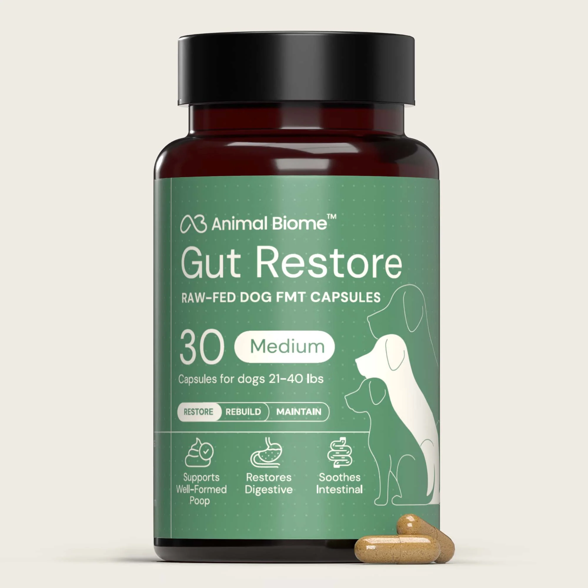 Gut Restore Supplement from Raw-Fed Dogs - Image 9