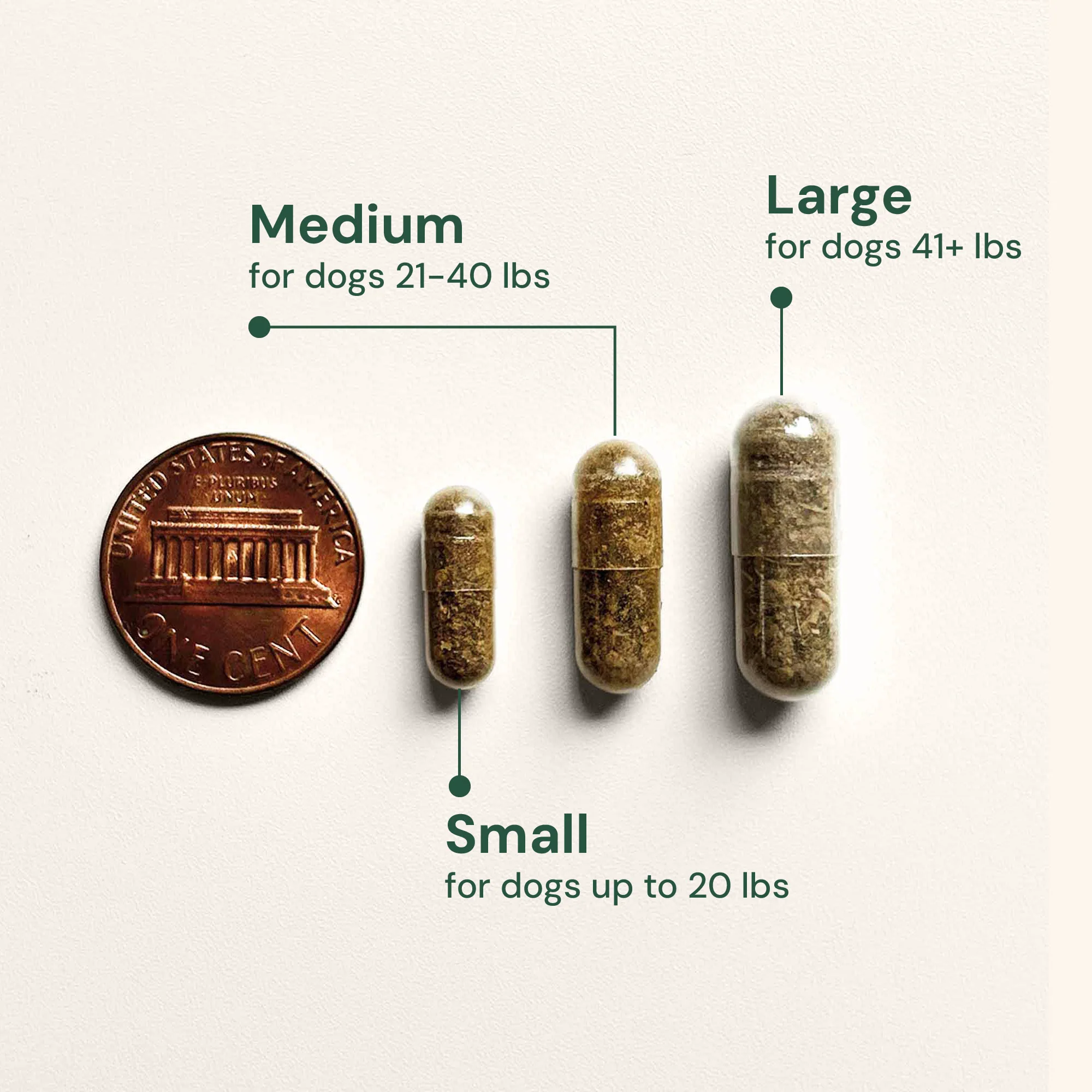 Gut Restore for Dogs - Image 11