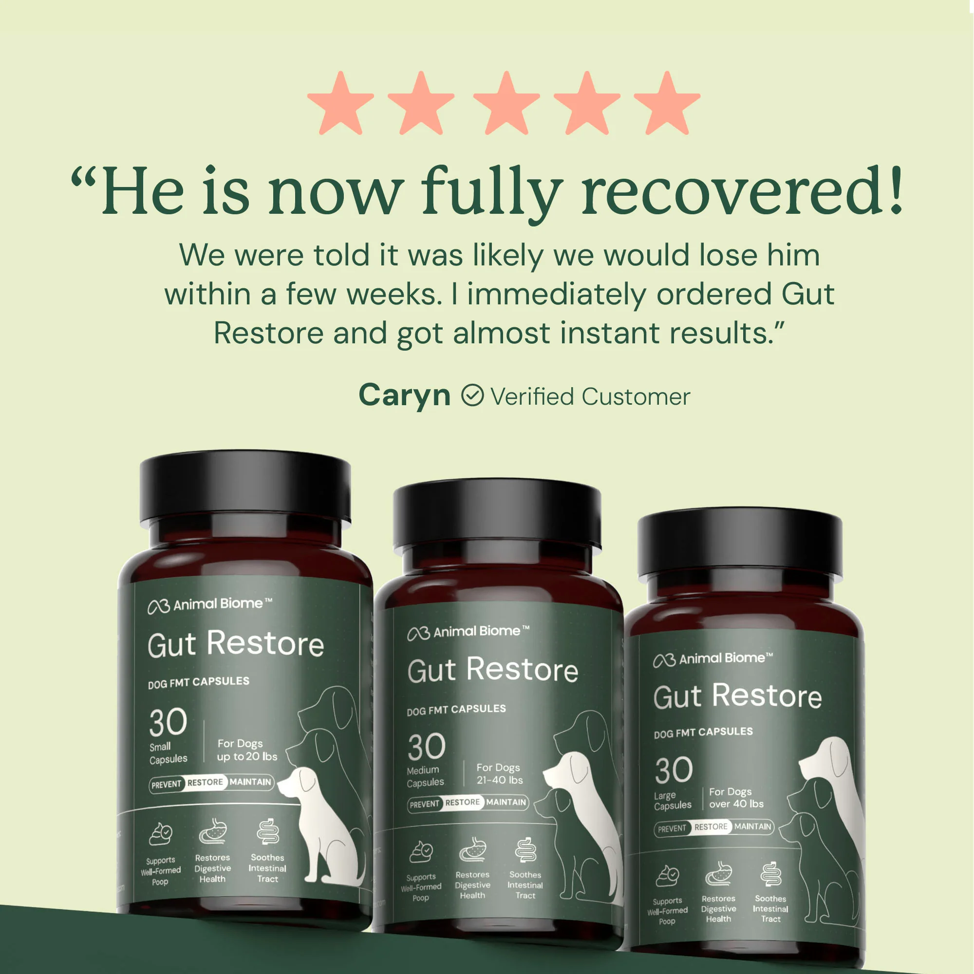 Gut Restore for Dogs - Image 5