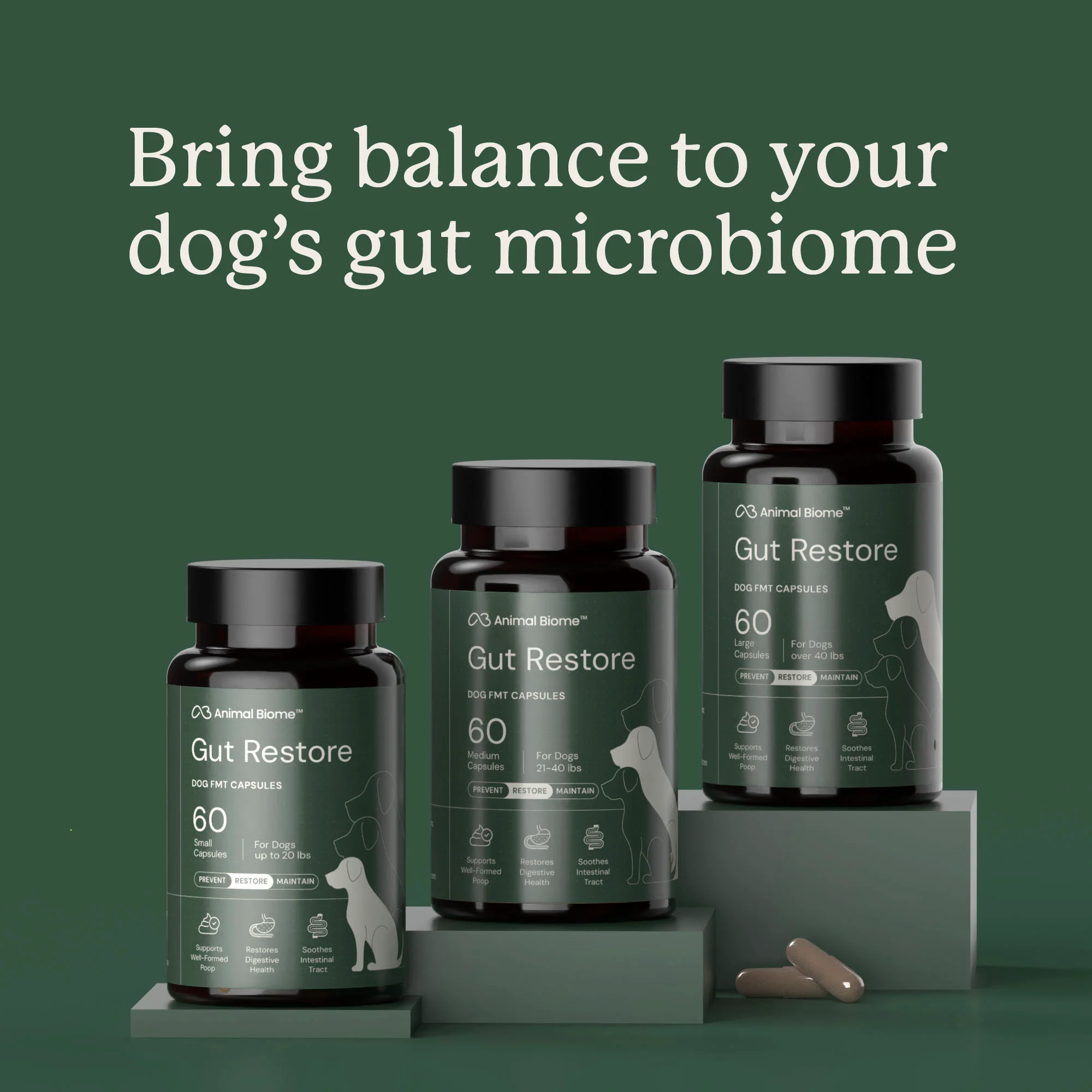 Gut Restore for Dogs - Image 7