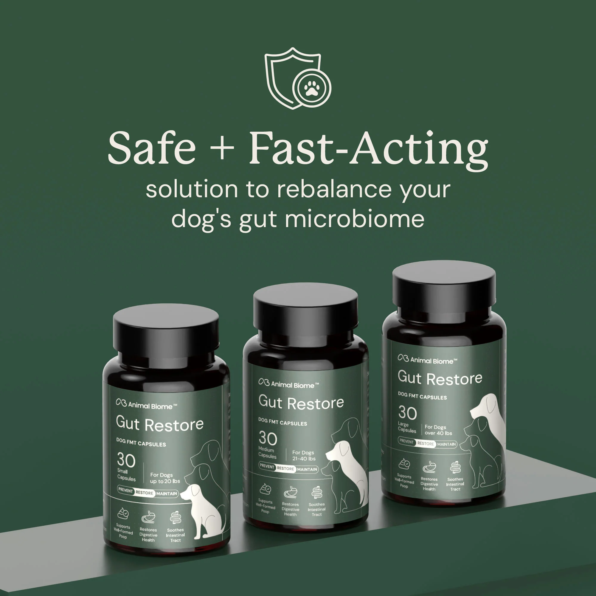 Gut Restore for Dogs - Image 9