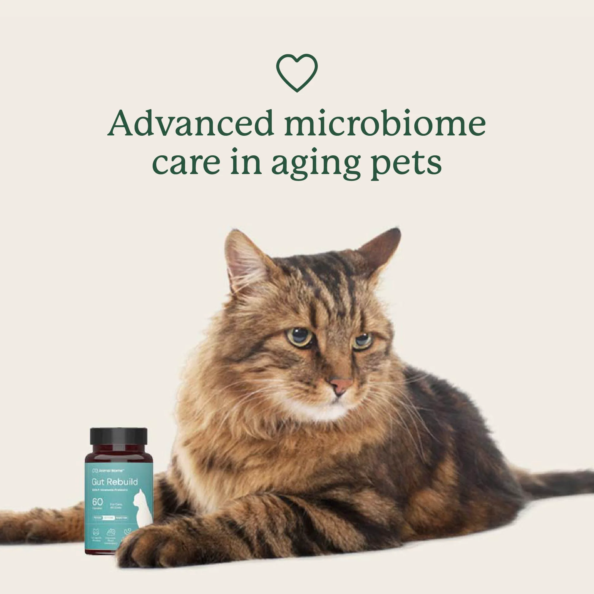 Gut Rebuild for Cats - Image 5