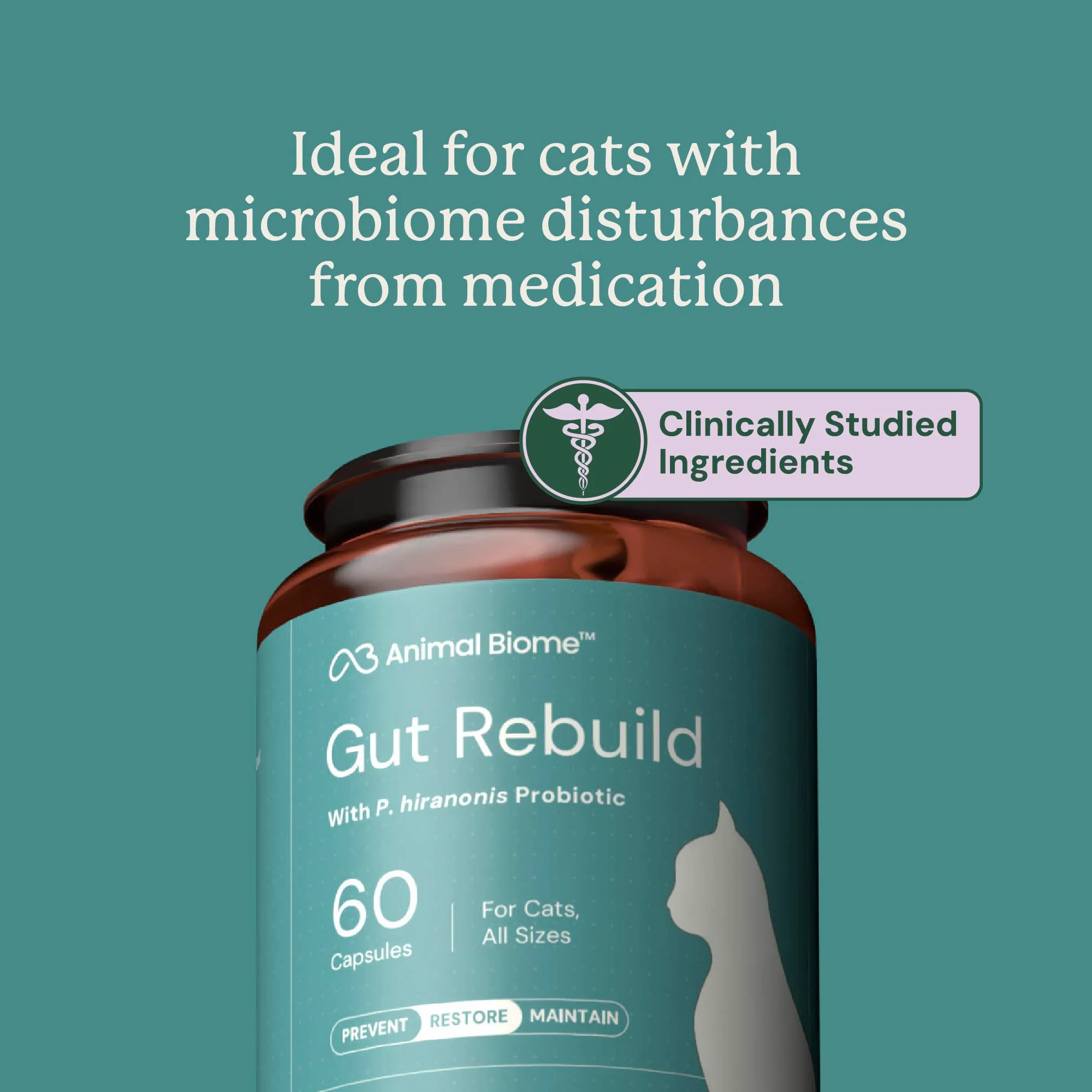 Gut Rebuild for Cats - Image 6