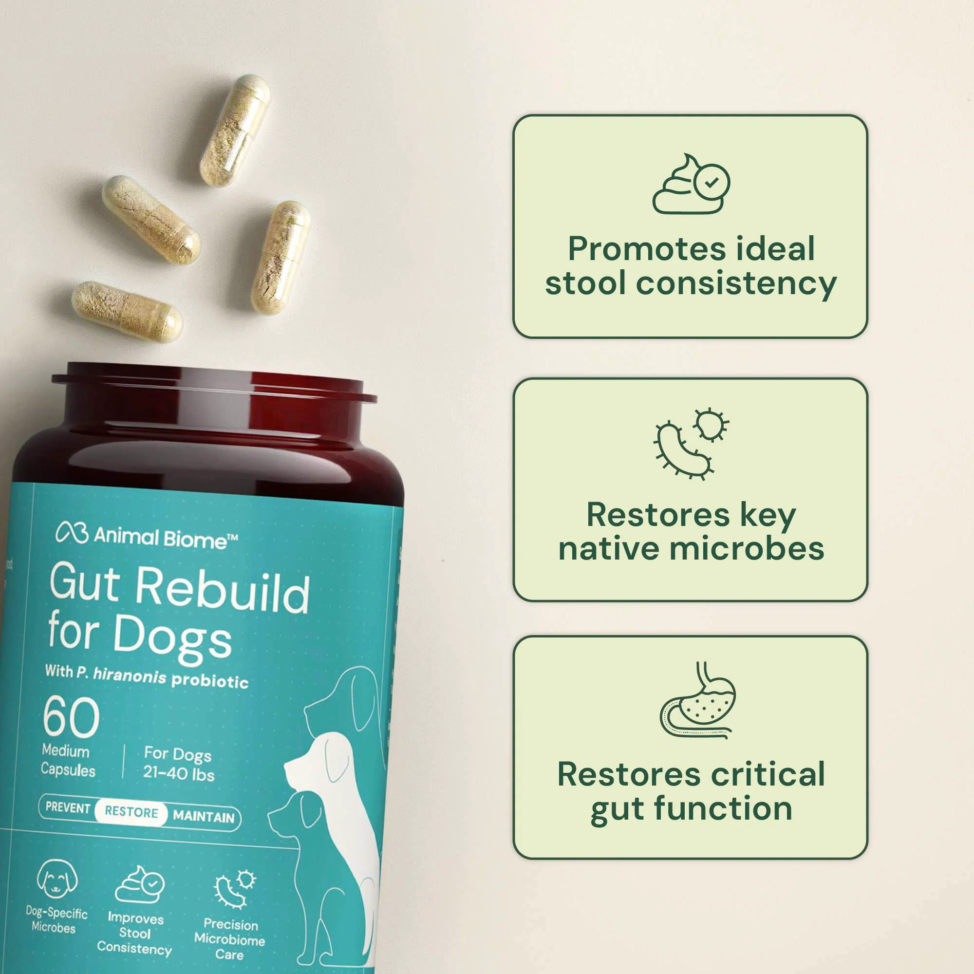 Gut Rebuild for Dogs - Image 4
