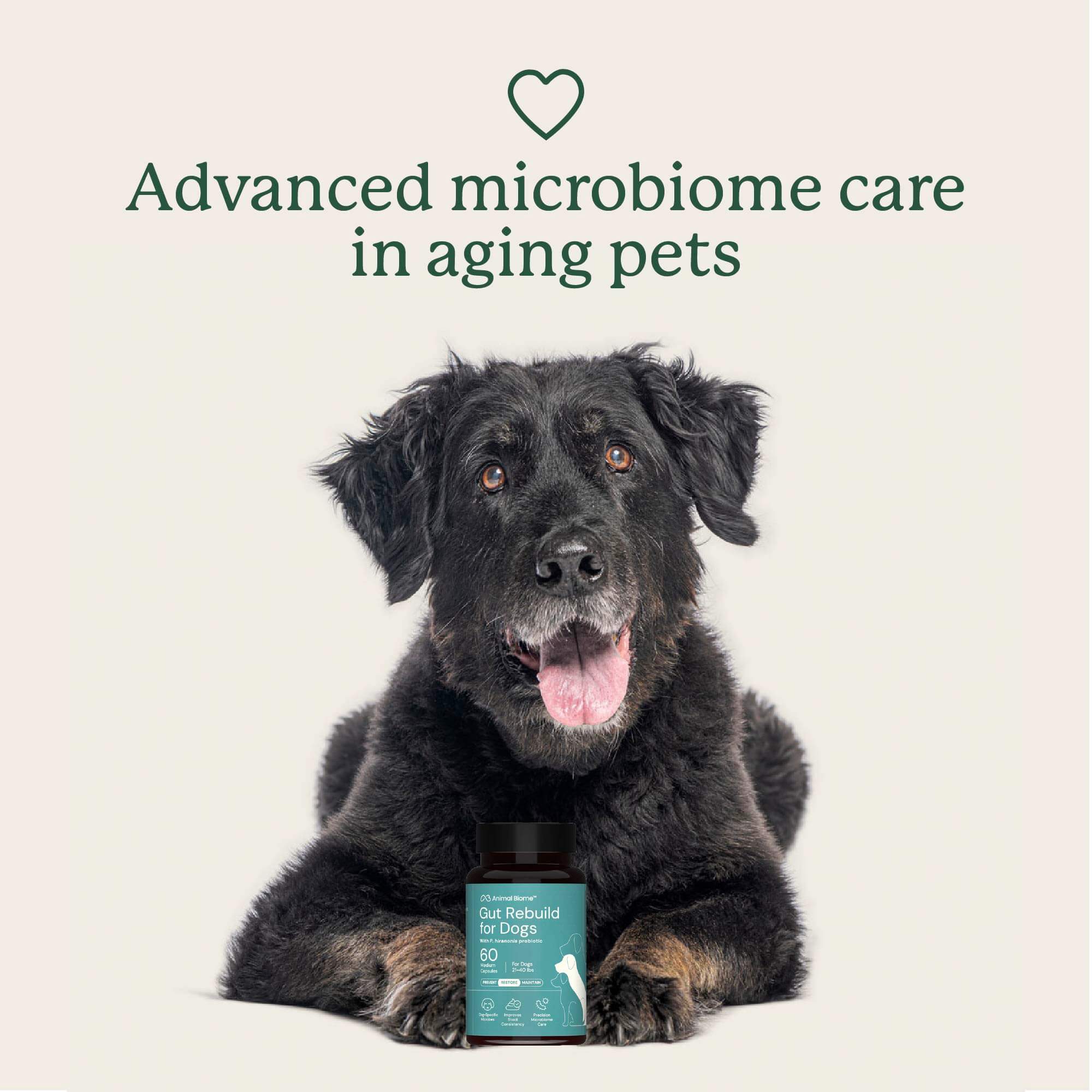 Gut Rebuild for Dogs - Image 5