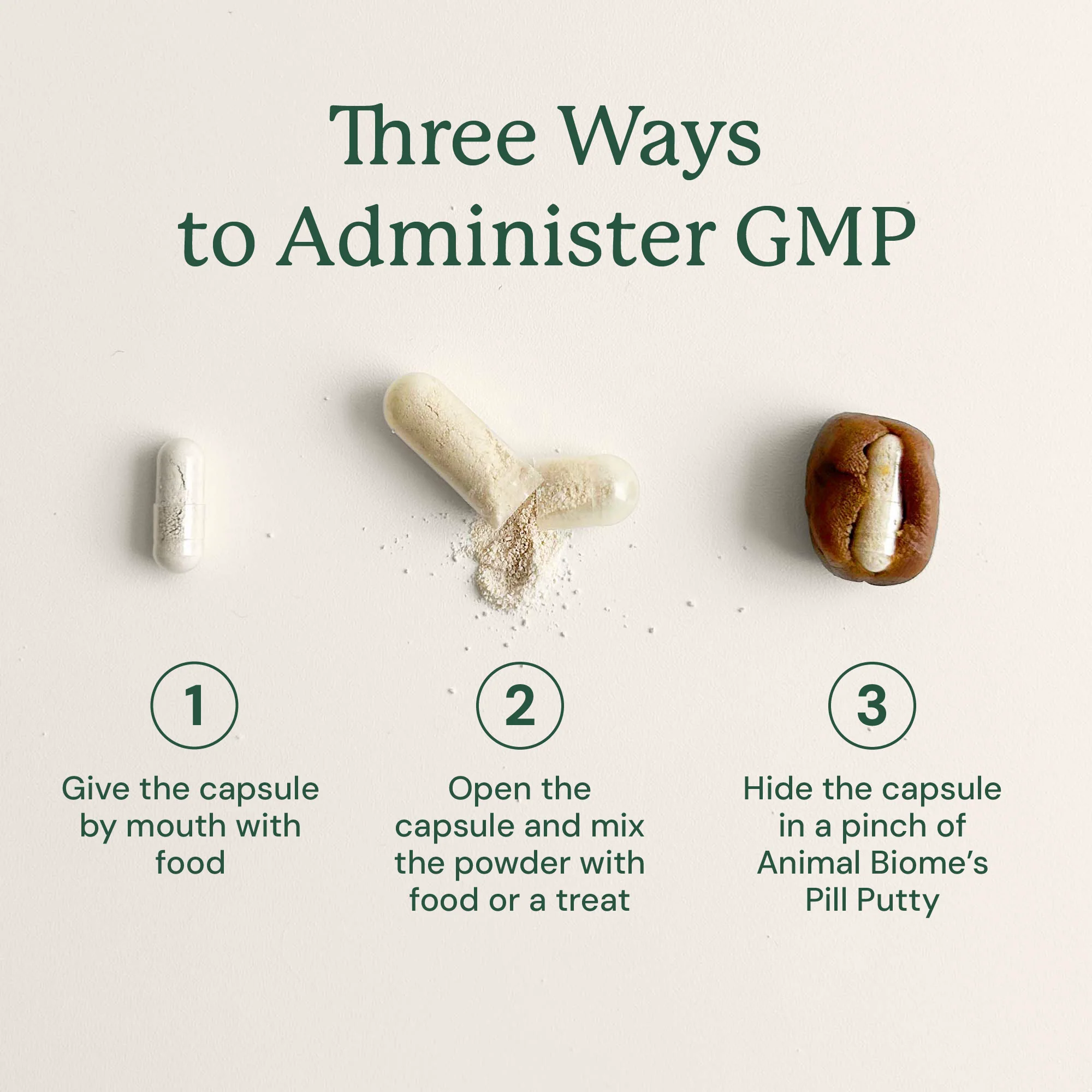 Gut Maintain for Cats - Image 14