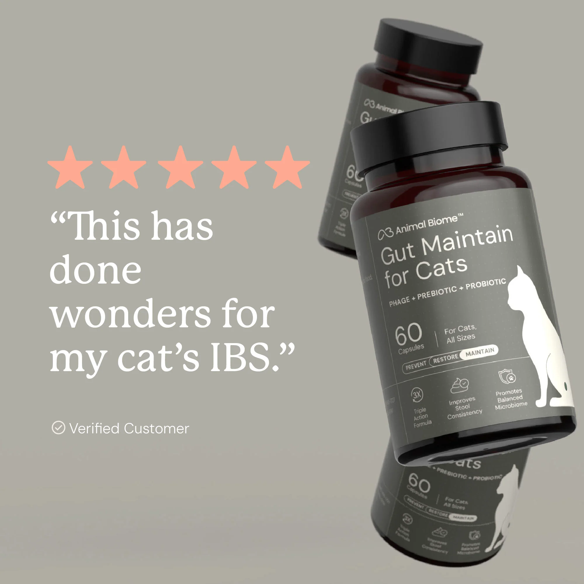 Gut Maintain for Cats - Image 5