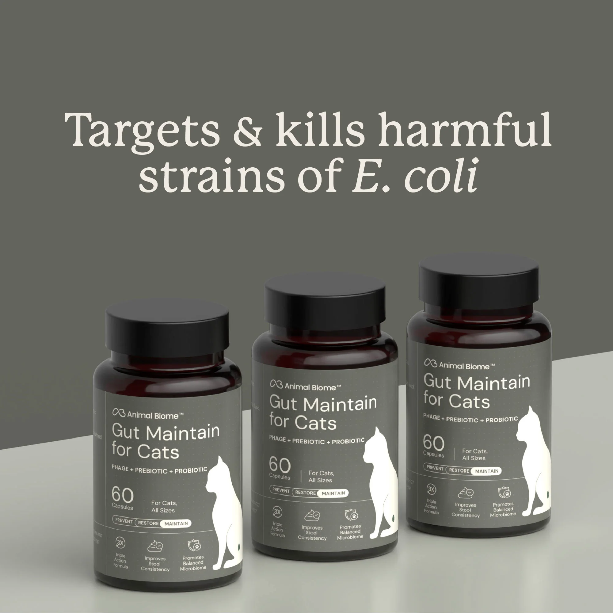 Gut Maintain for Cats - Image 8