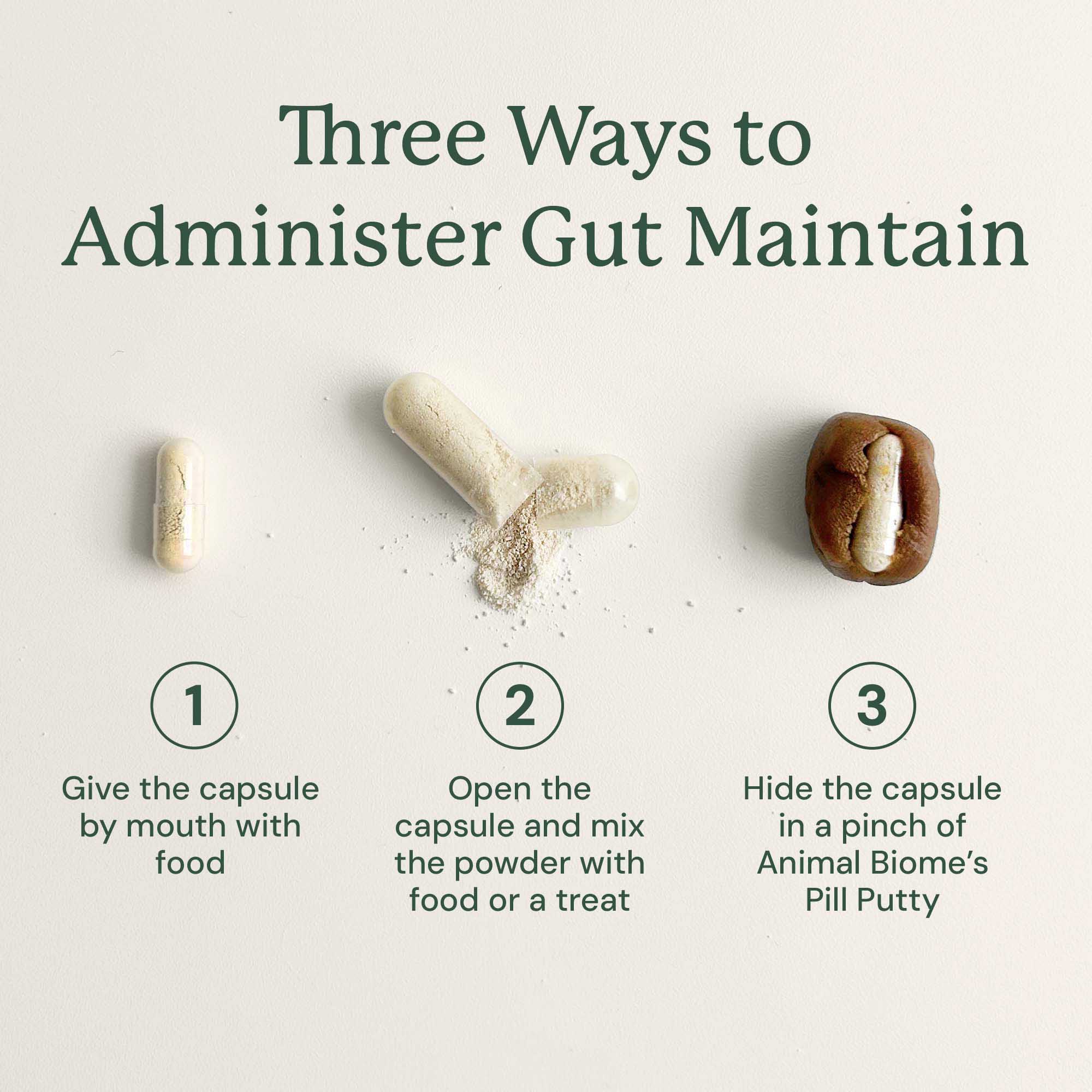 Gut Maintain for Cats - Image 9