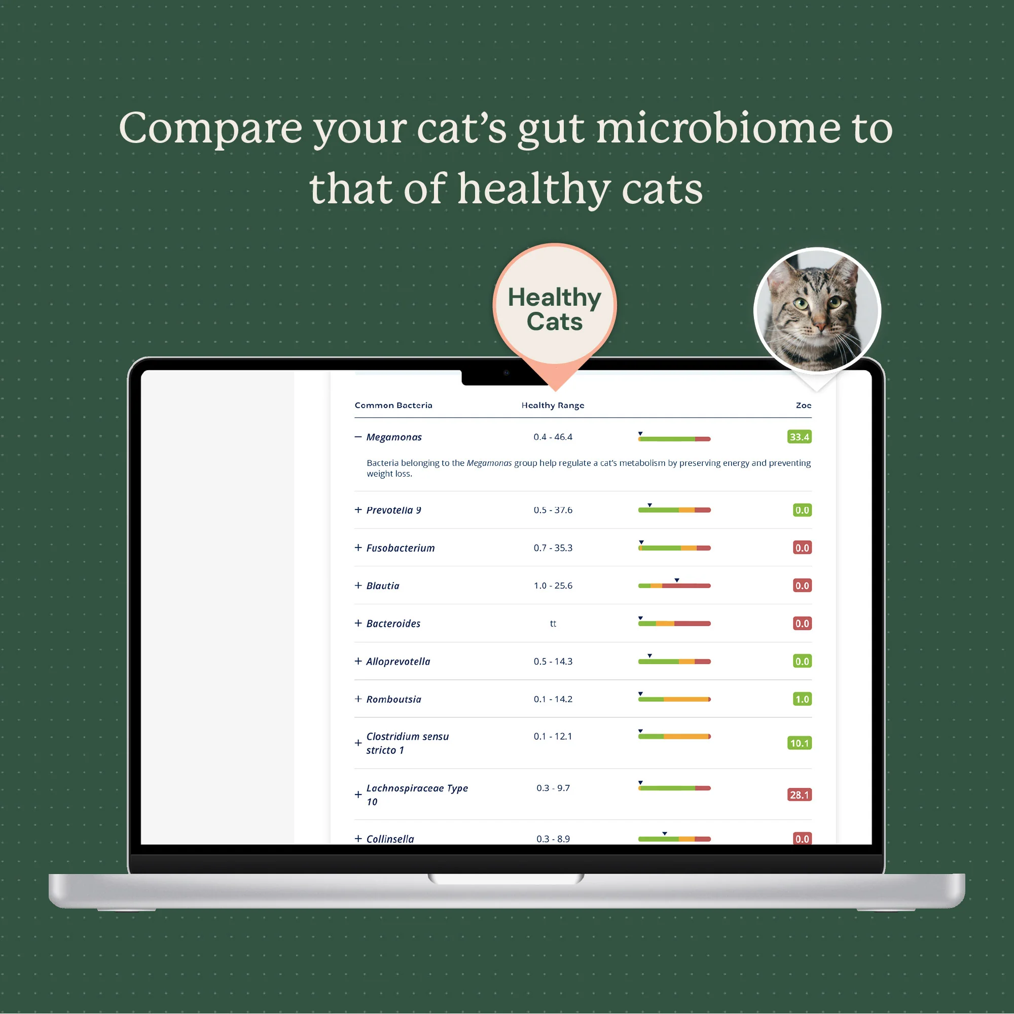 Gut Microbiome Test for Cats - Image 6