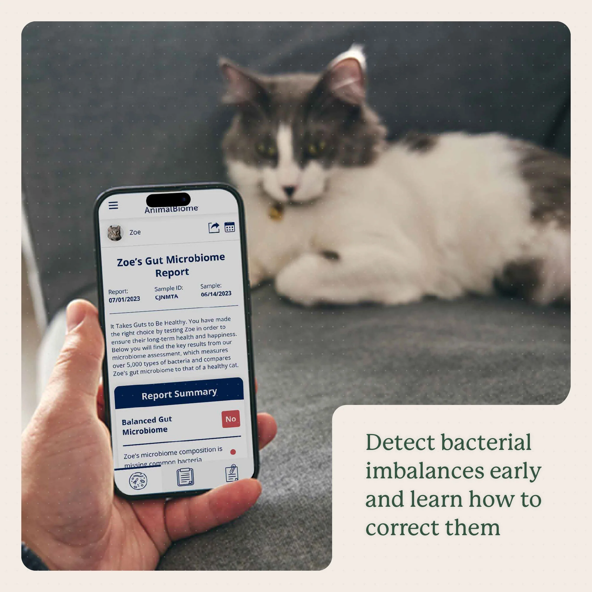 Gut Microbiome Test for Cats - Image 7