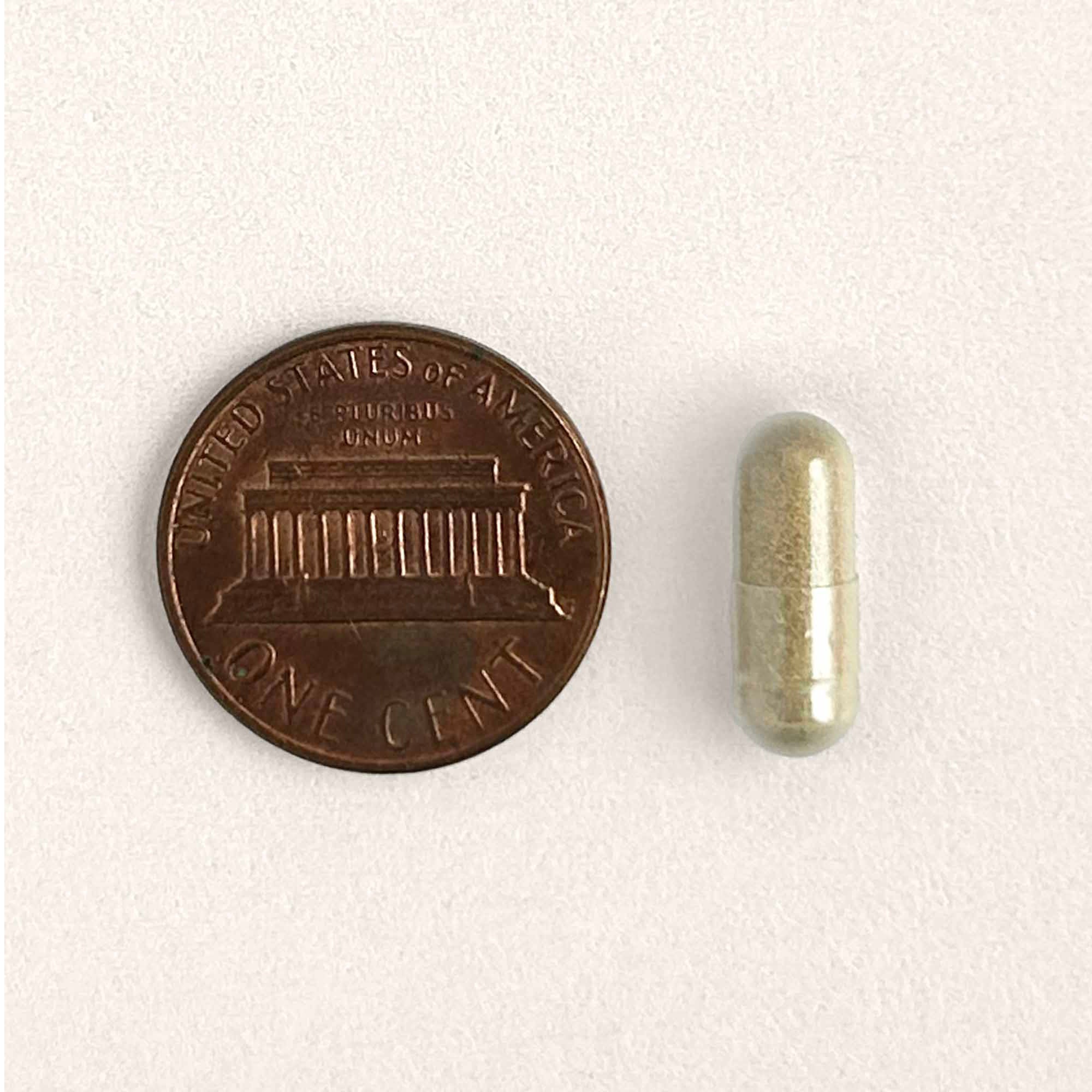 Gut Restore for Cats - Image 13