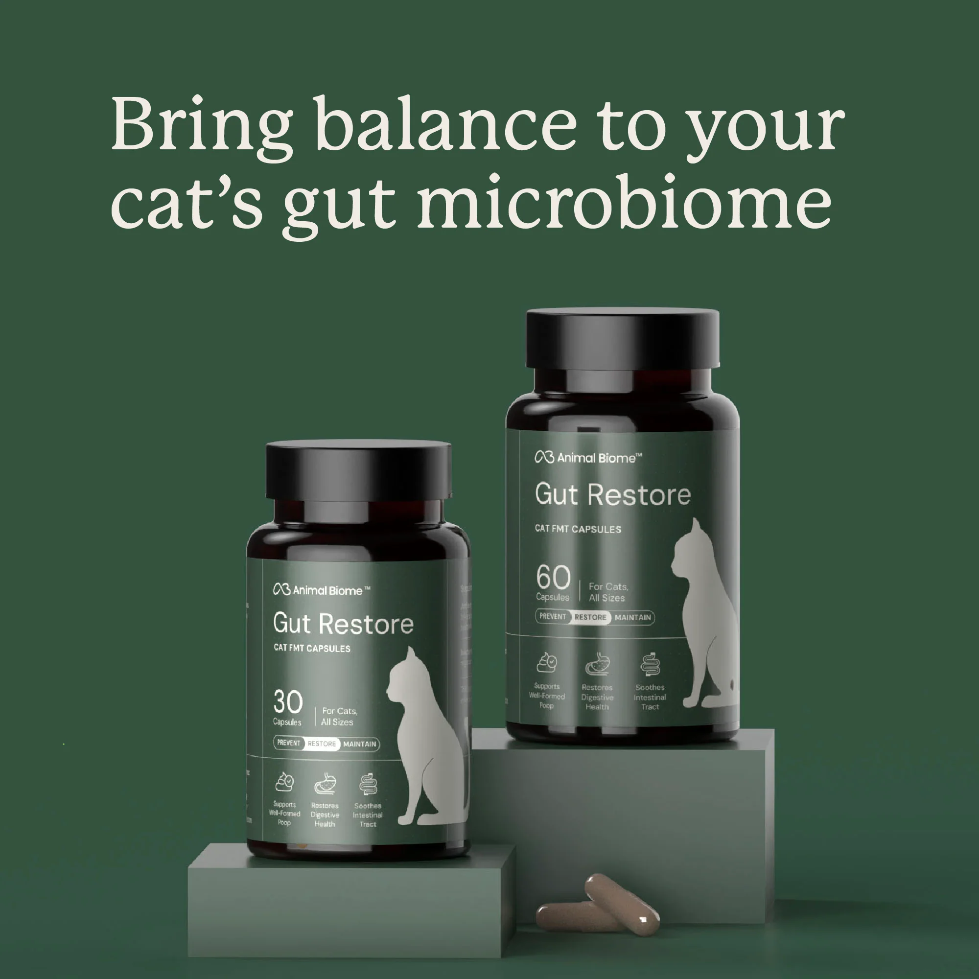 Gut Restore for Cats - Image 7