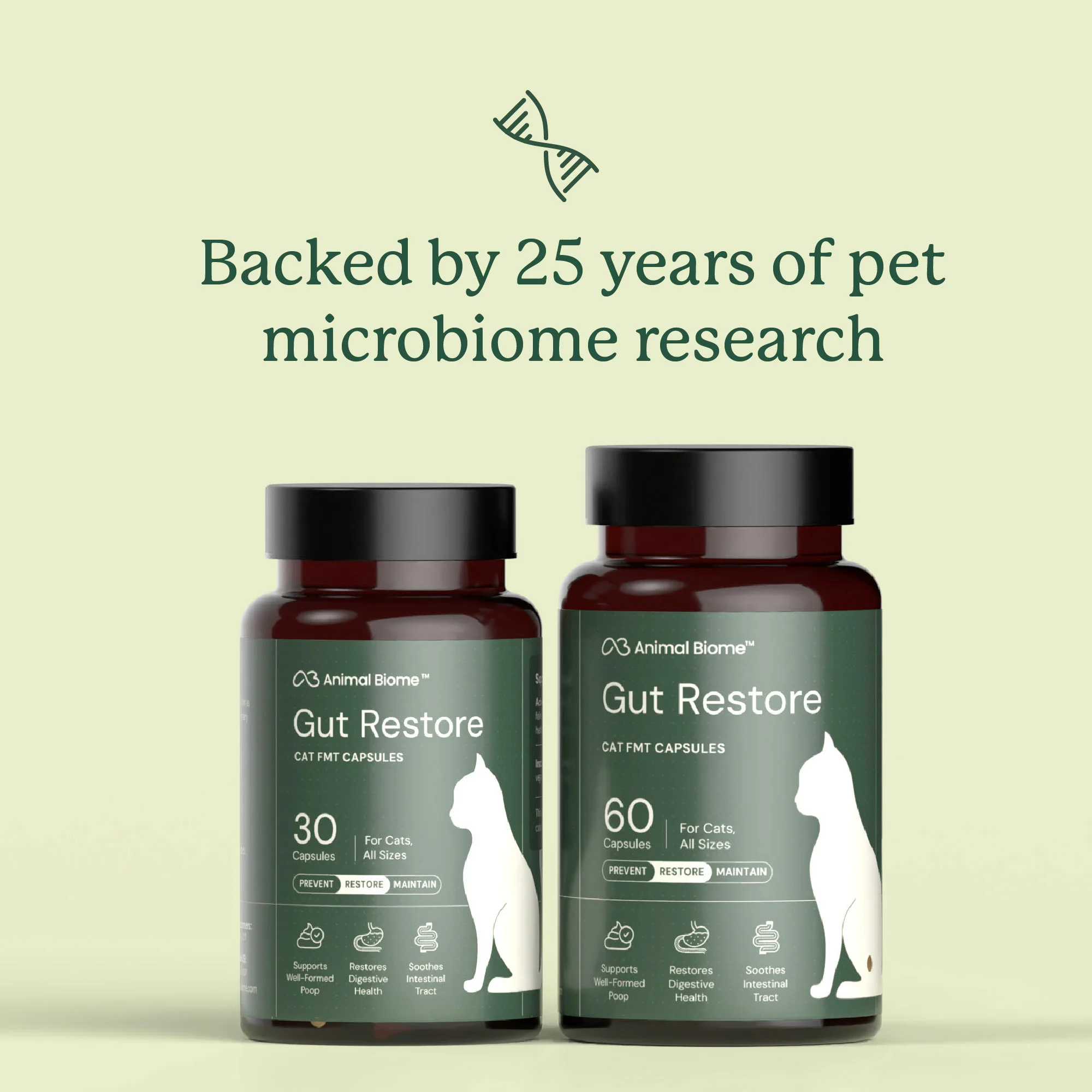 Gut Restore for Cats - Image 8