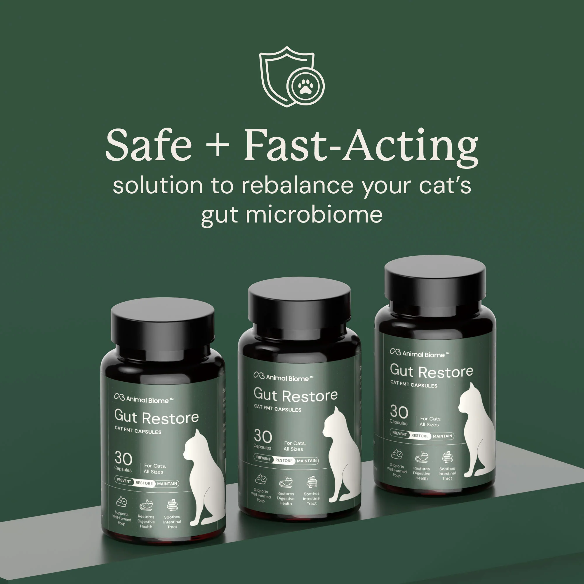 Gut Restore for Cats - Image 9