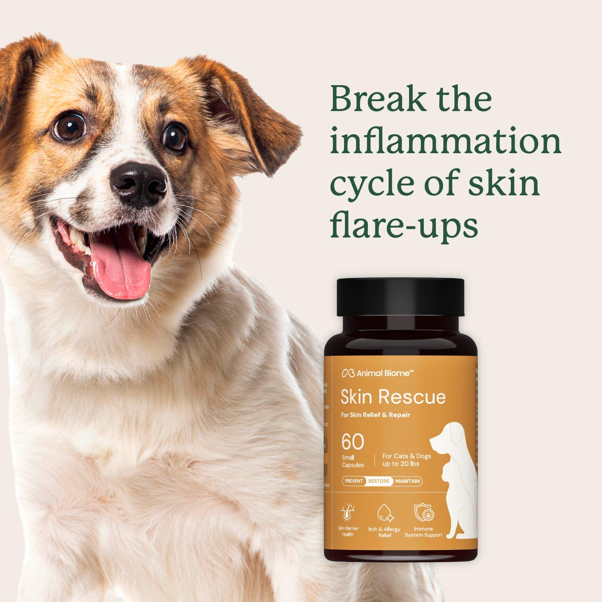 Skin Rescue - Image 4